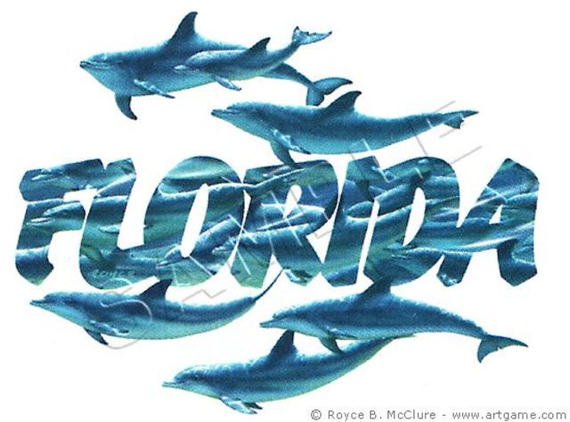 my 5th time to florida