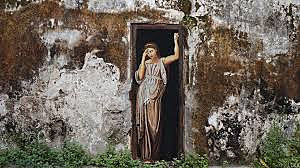 Oda a la flor de Gnido