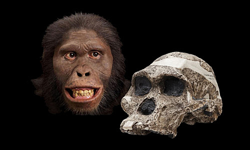 Hace 3,4 a 2 millones de años (Australopitecus)