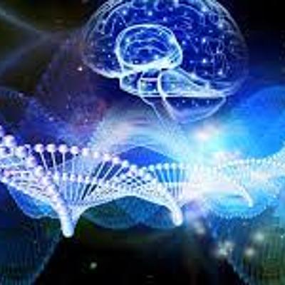 Timeline: Pablo Álvaro y Rafa