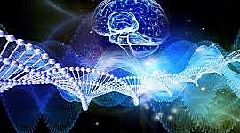 Timeline: Pablo Álvaro y Rafa