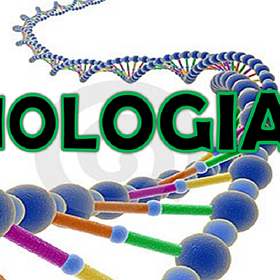 Timeline: Joaquín Pellón, Nacho Quintanilla y Pedro Fernandez
