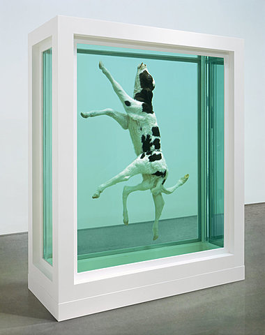 In His Inifinite Wisdom