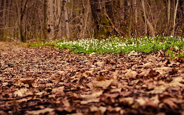 Inicio de la unidad del suelo