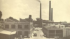 Timeline: Industrialização do Brasil - Mariana Marino (18) e Isabela Morano(22)