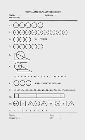 Army Alpha y Army Beta