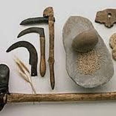 Timeline: Los productos Tecnológicos