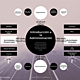 Infografia introduccion a la adm