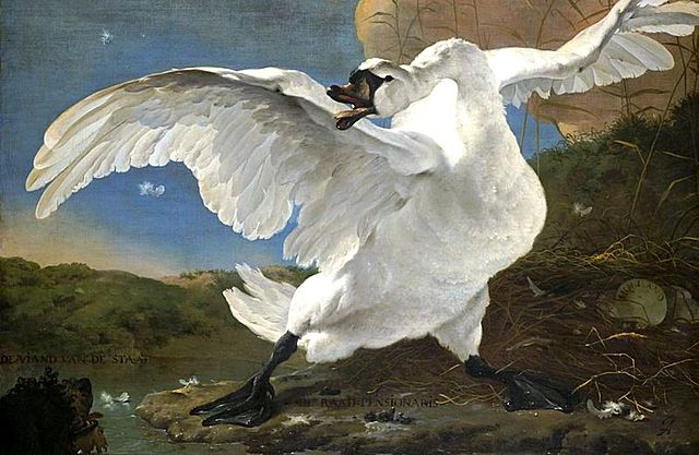 “De bedreigde zwaan”