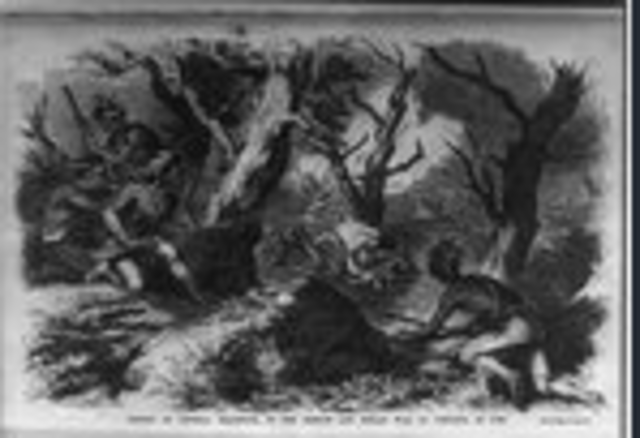 French and Indian war