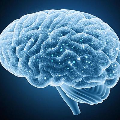 Timeline: Surgimiento y evolución del cerebro y el sistema nervioso - Juan José Cadena Arroyo