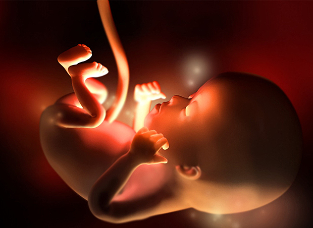 semana doce de gestación