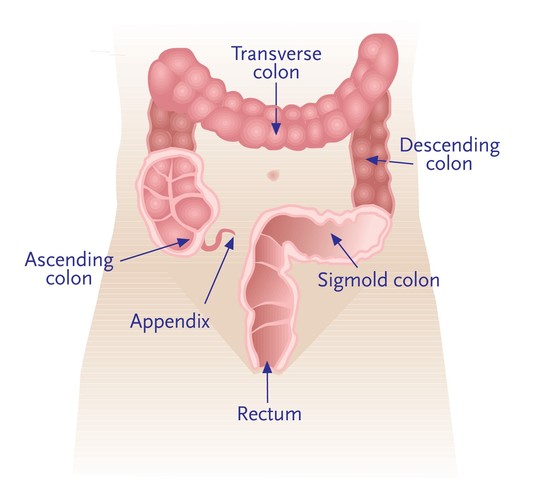 Colorectal Cancer and Polyps - Fecal Immunochemical