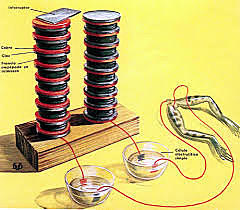 Alessandro Volta (1745−1827)