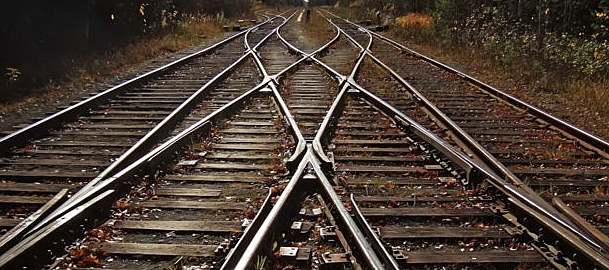 Aproveitamento de estruturas do café