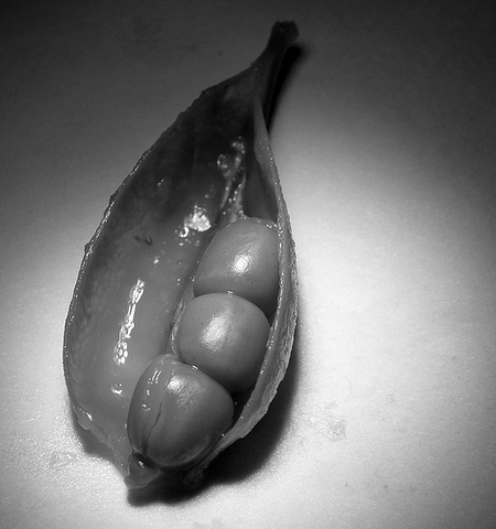 Friends November 23 2002