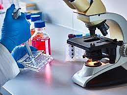 LOS AVANCES TECNOLÓGICOS DEL SIGLO 21 DEL ADN