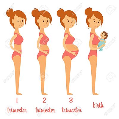 Timeline: Changes in teen pregnancies