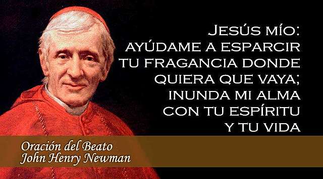 Siglo XIX. Organización de la Teología neoescolástica