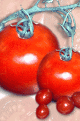 Calgene Inc. receives a patent