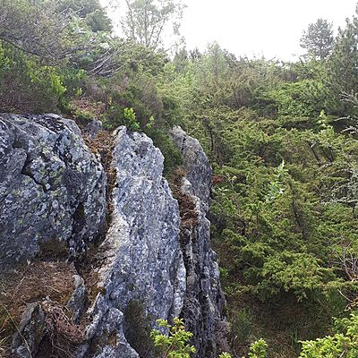 Timeline: Til historie eksamen