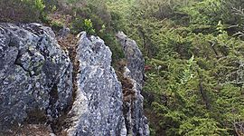 Timeline: Til historie eksamen