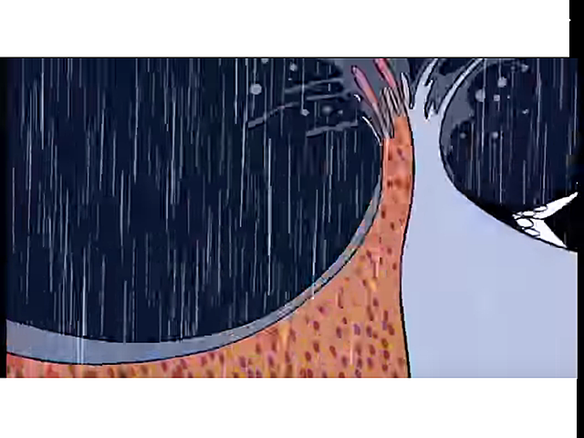 la abuela canto muy fuerte y se inundo toda la ciudad