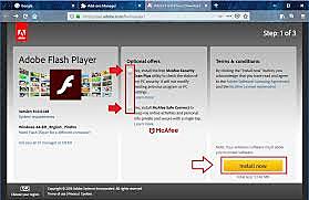 Blackboard y Flash 1.0