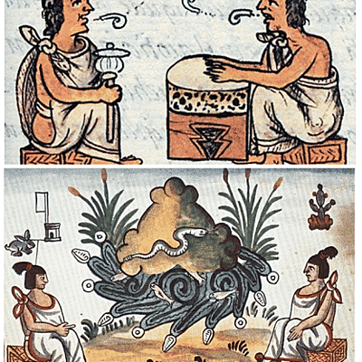 Timeline: Evolución de las modalidades educativas