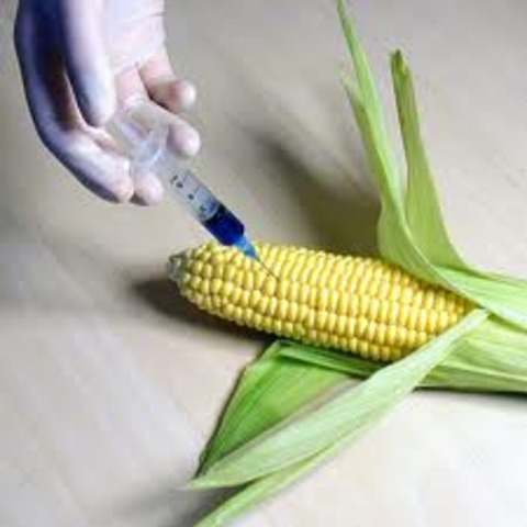 Sadly, there will still be GMO's on market.