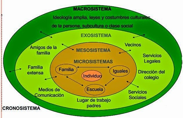 SISTEMAS DEL MODELO ECOLÓGICO