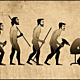 Evolution