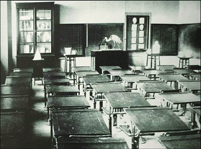 LINGUAGEM AUDIOVISUAL E A EDUCAÇÃO