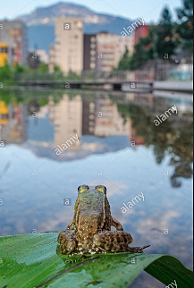 Frosty went to hang out with Ryder