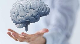 Timeline: Timeline Curso Optativo Neurotecnología