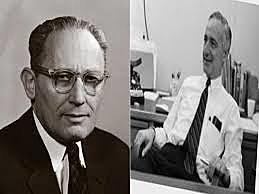 Tipología de Katz y Kahn