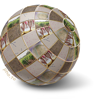 Timeline: Microbiología Enológica