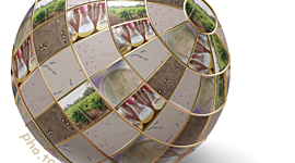 Timeline: Microbiología Enológica