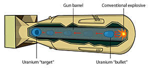 The Manhattan Project