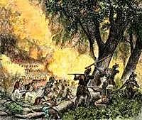 Battle of Fallen Timbers