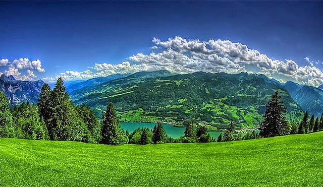 Antigüedad Grecolatina. Teofrasto, Aristoteles y Plinio se preocupaban de las relaciones entre los seres vivos.