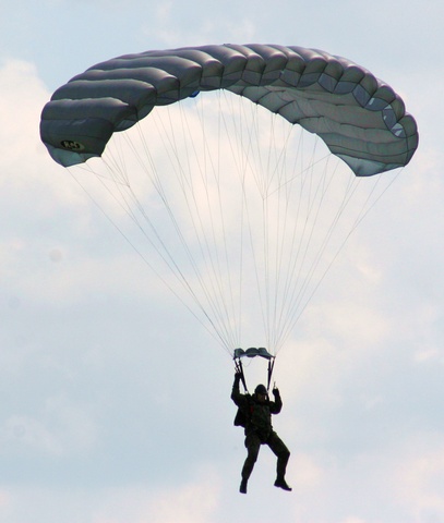 Bear has an accident