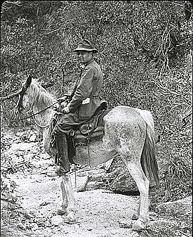 Cowles (EUA) Duncas. Analizo los cambios en el tiempo y los cor-relaciono con las variaciones en el espacio.