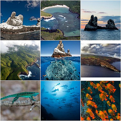 Tansley empleó por primera vez la palabra ecosistema.