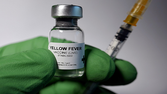 Yellow fever vaccine Project: YF vax