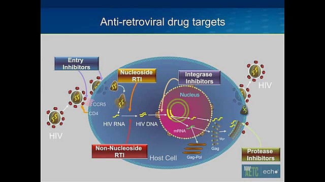 HIV AIDS Vaccine Project ART