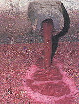 Fermentación alcohólica.