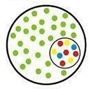 Commissione Falcucci, 1975