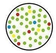 Legge n.104 del 05/02/1992  Legge- quadro per l’assistenza, l’integrazione sociale e i diritti delle persone handicappate