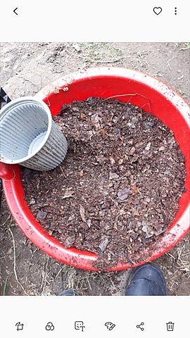 Preparación del suelo